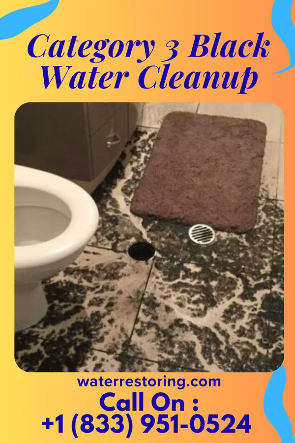 Category 3 Black Water Cleanup in La Rue, OH