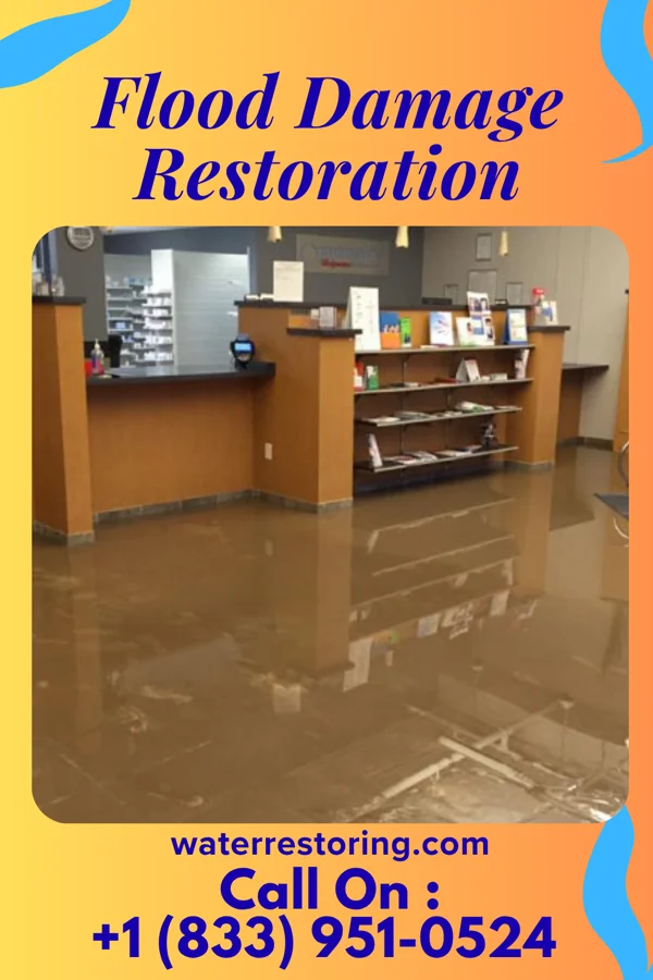 Flood Damage Restoration in La Rue, OH