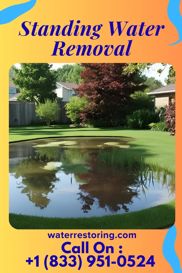 Standing Water Removal in La Rue, OH